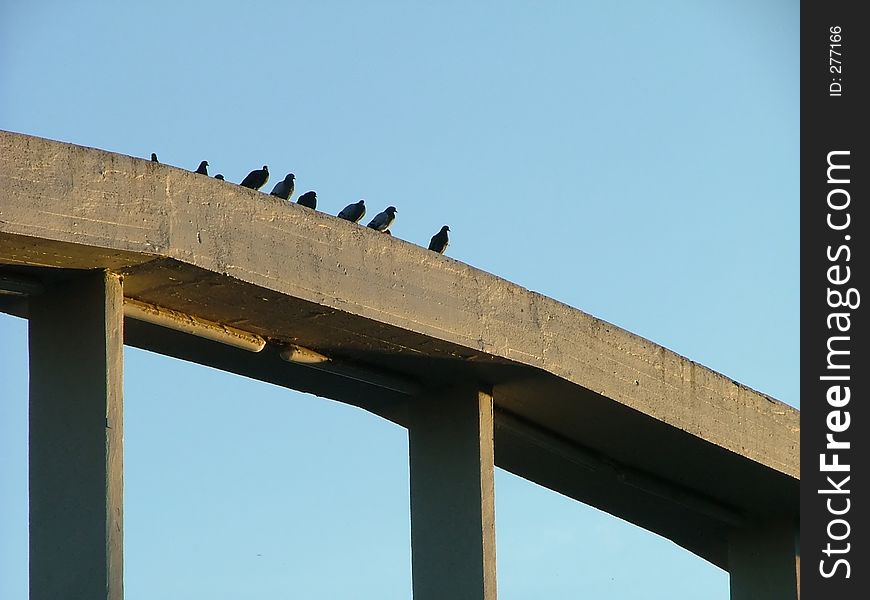 Birds resting on a bridge arc