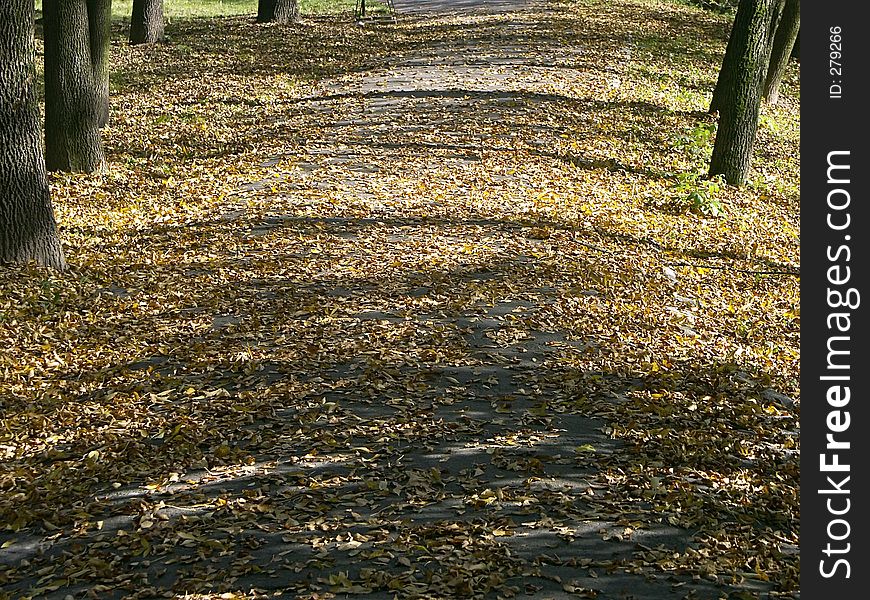 Park alley in autumn full of dead leaves. Park alley in autumn full of dead leaves