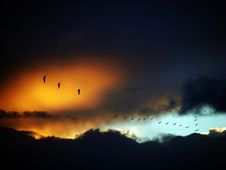 Clouds And Seaguls At Sunset Royalty Free Stock Photography