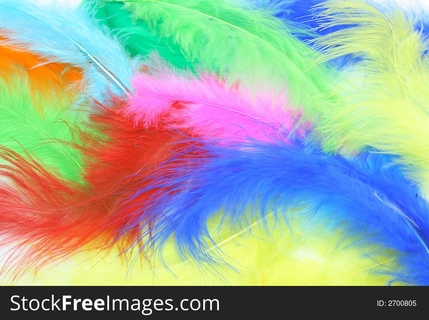 Colored Feathers Background