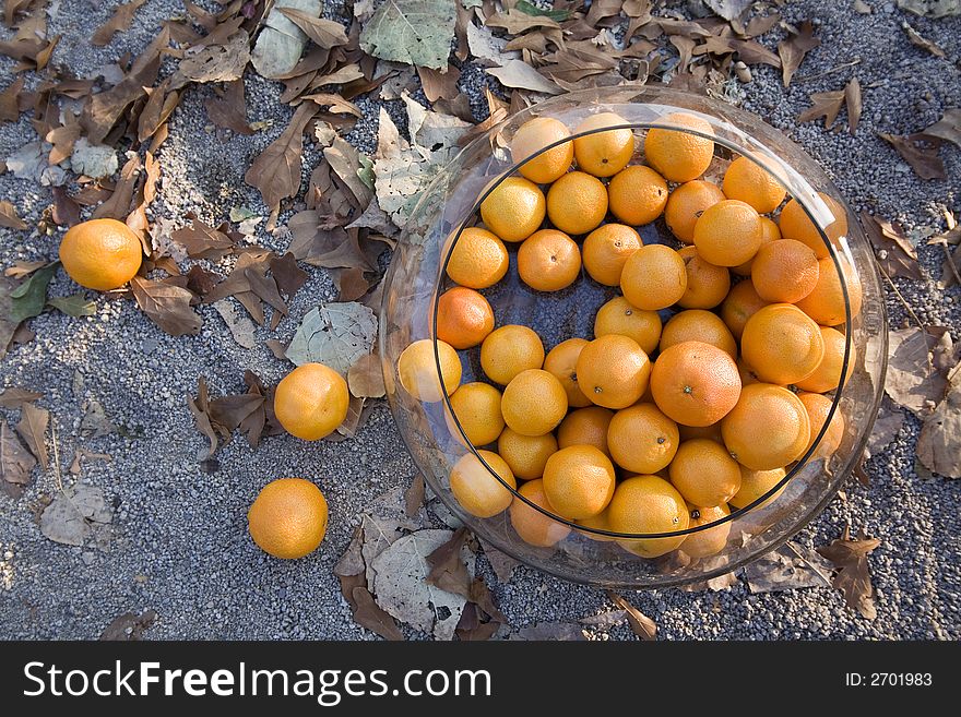 Tangerines in a glass container over the ground with autumn leaves. Tangerines in a glass container over the ground with autumn leaves