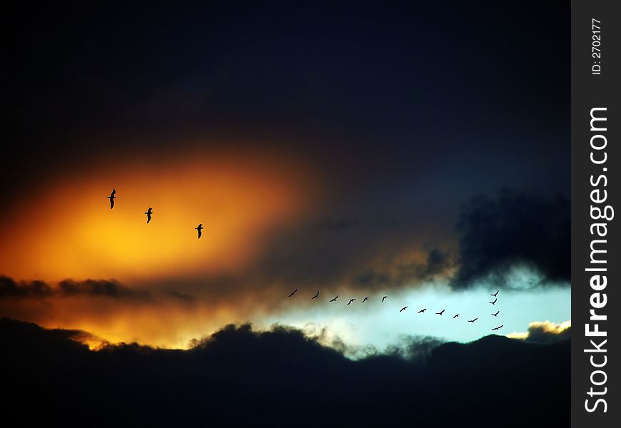 Clouds and seaguls at sunset