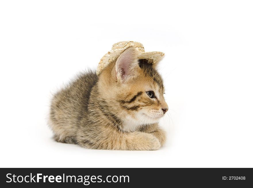 A kitten with a cowboy hat on a white background. A kitten with a cowboy hat on a white background