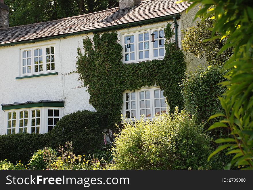 Ivy covered lake district cottage. Ivy covered lake district cottage