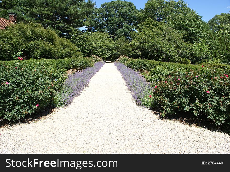 A pretty garden path with a border of purple flowers. A pretty garden path with a border of purple flowers