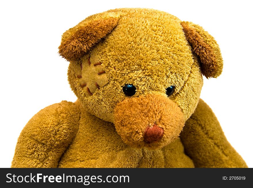A teddy bear portrait close up on a white background
