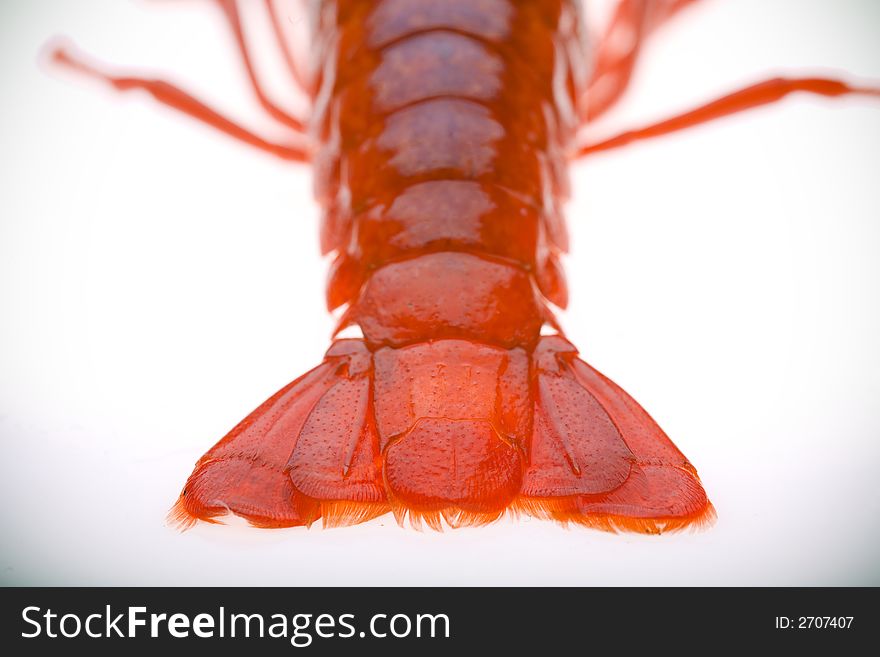 Boiled crayfish tail isolated on white, with vignette