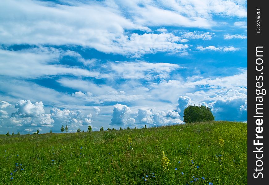 Summer landscape with green grass meadow and blue clouds. Summer landscape with green grass meadow and blue clouds