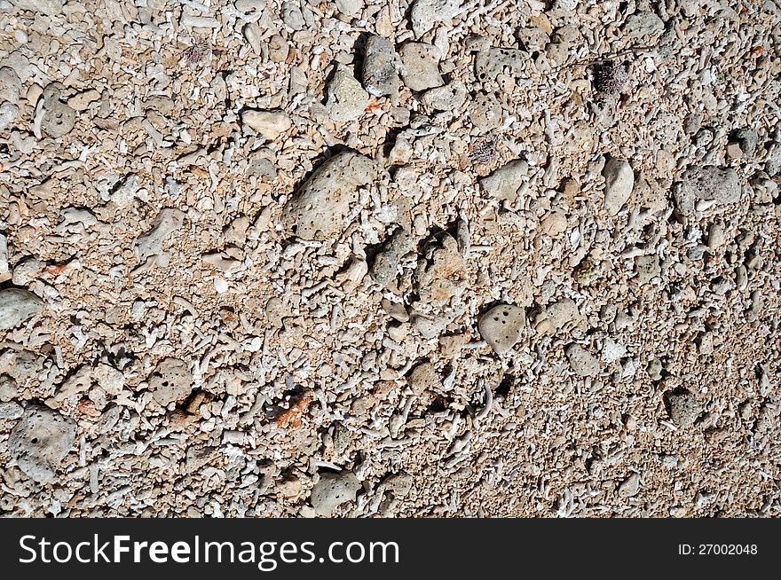 Coral Beach Background - Horizontal