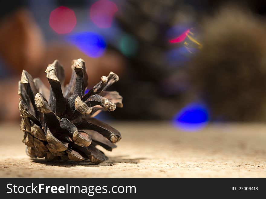 Pine cone with bokeh background