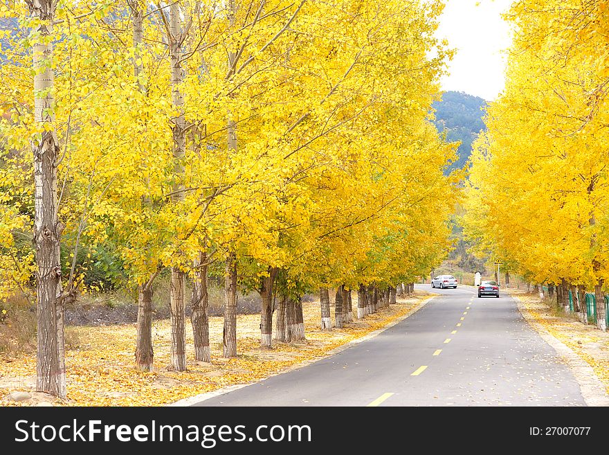 The landscape of autumnal trafficway. The landscape of autumnal trafficway