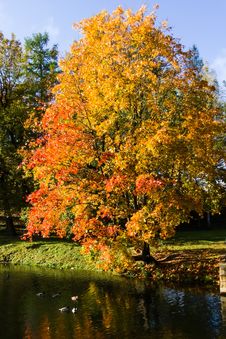 Autumn Landscape Stock Photography