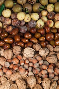 Autumn Fruits Stock Image Autumn Fruits Stock Image
