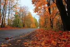 Autumn Forest, Russia Stock Photo Autumn Forest, Russia Stock Photo