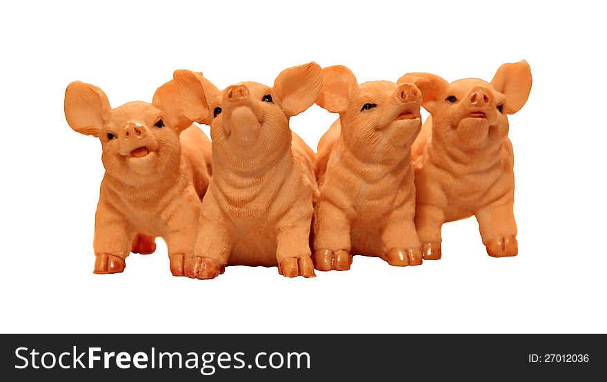 Photo of four piglet friends enjoying each others company on white background. Photo of four piglet friends enjoying each others company on white background.
