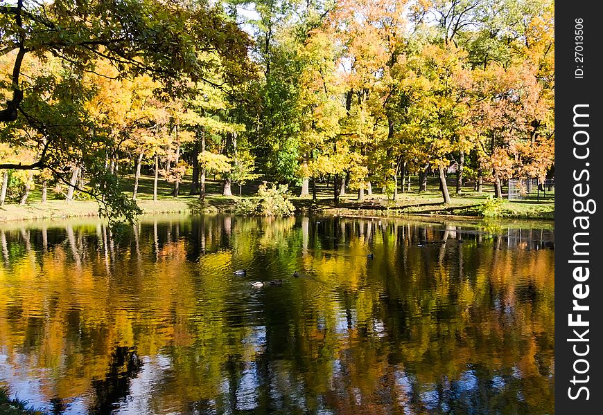 Golden autumn autumn landscape reflected in water