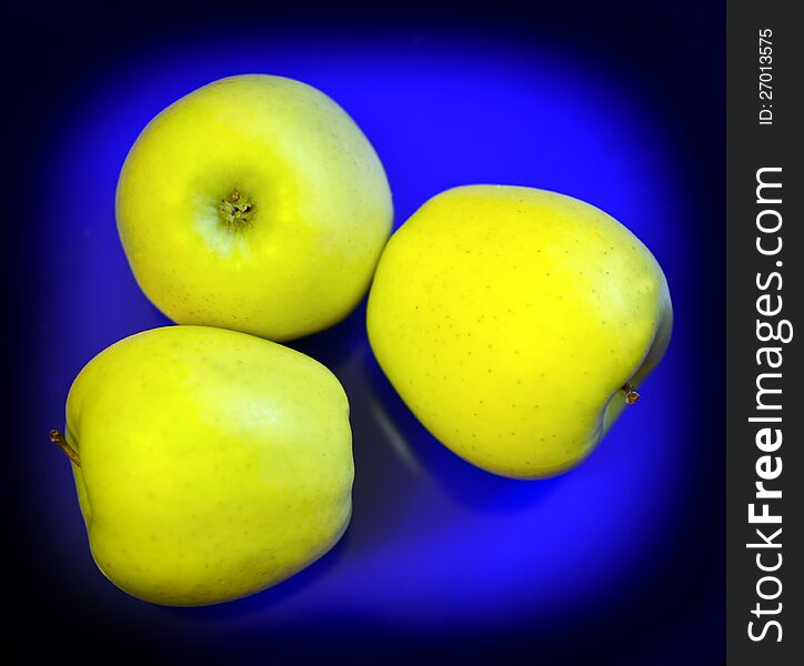 Three yellow apples on blue background. Three yellow apples on blue background.