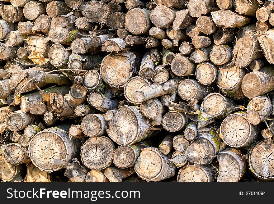 Wood in pile outdoor