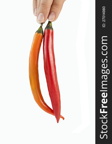 Two chilli peppers in hand with white backgeround