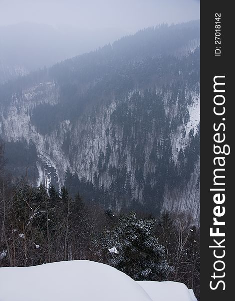 Snowy hill with forest in the mist. Snowy hill with forest in the mist