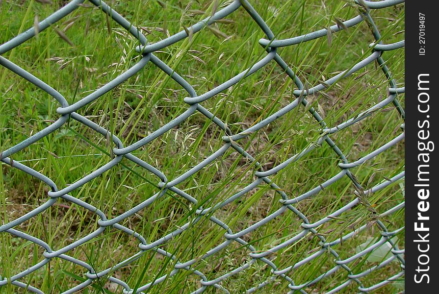 Wire netting fence-and long grasses. Wire netting fence-and long grasses