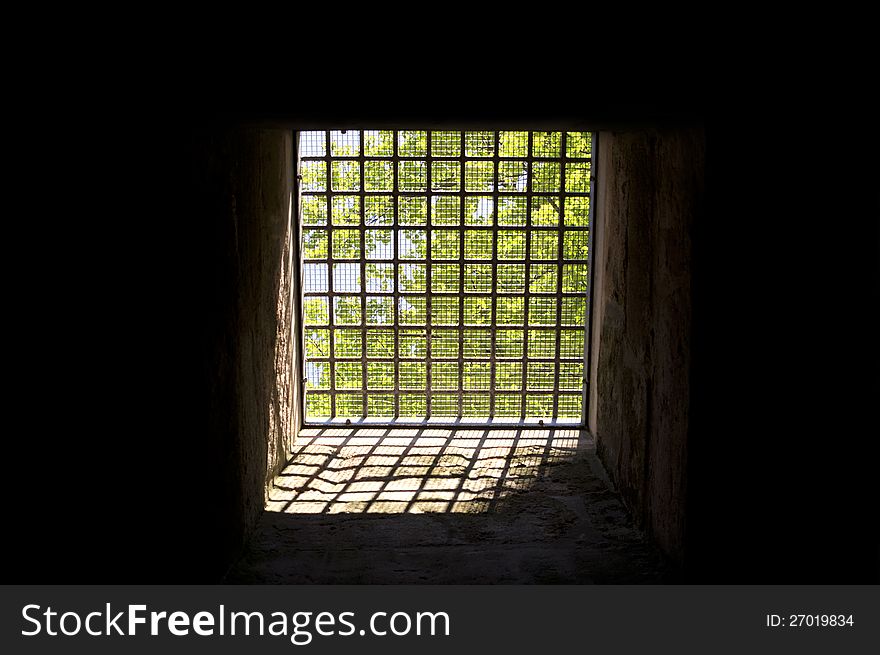 Trees behind bars in a dark room
