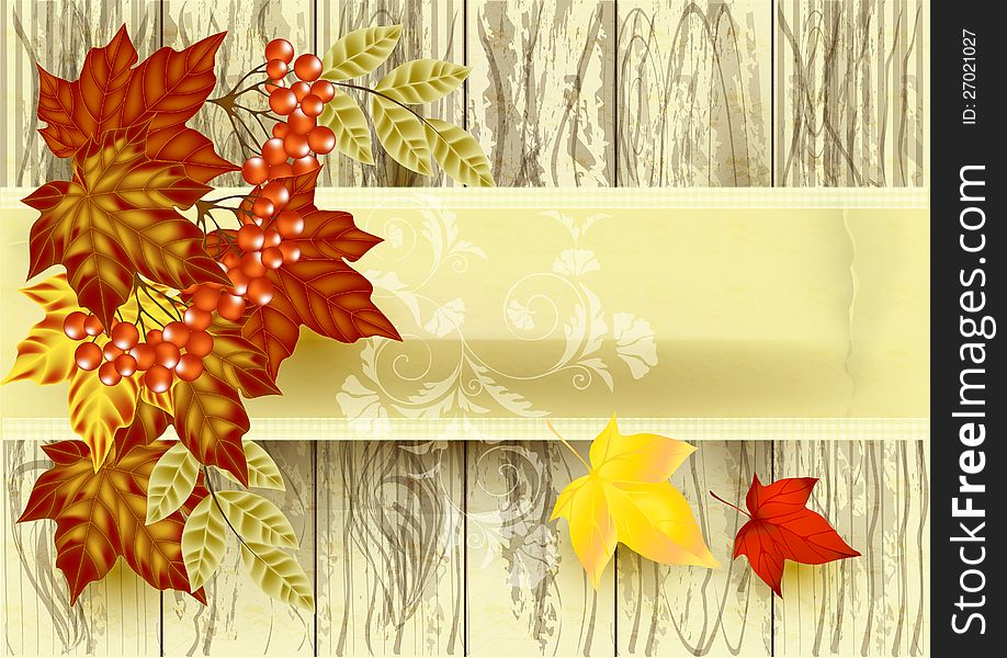 Banner with vector tree texture, old paper and  autumn leafs. Banner with vector tree texture, old paper and  autumn leafs