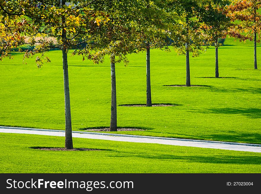 Autumn trees and green grass in the park