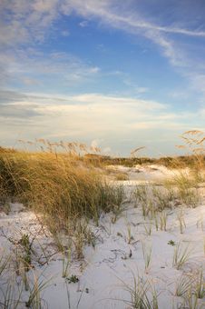 Pensacola Beach Dunes At Sunset Royalty Free Stock Photos Pensacola Beach Dunes At Sunset Royalty Free Stock Photos