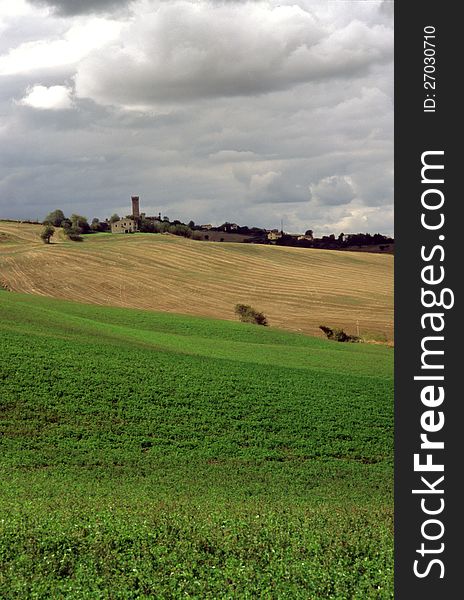 Agricultural land in val of Recanati. Marche region, Italy