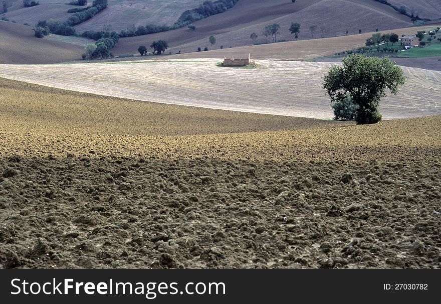 Agricultural land in val of Recanati. Marche region, Italy