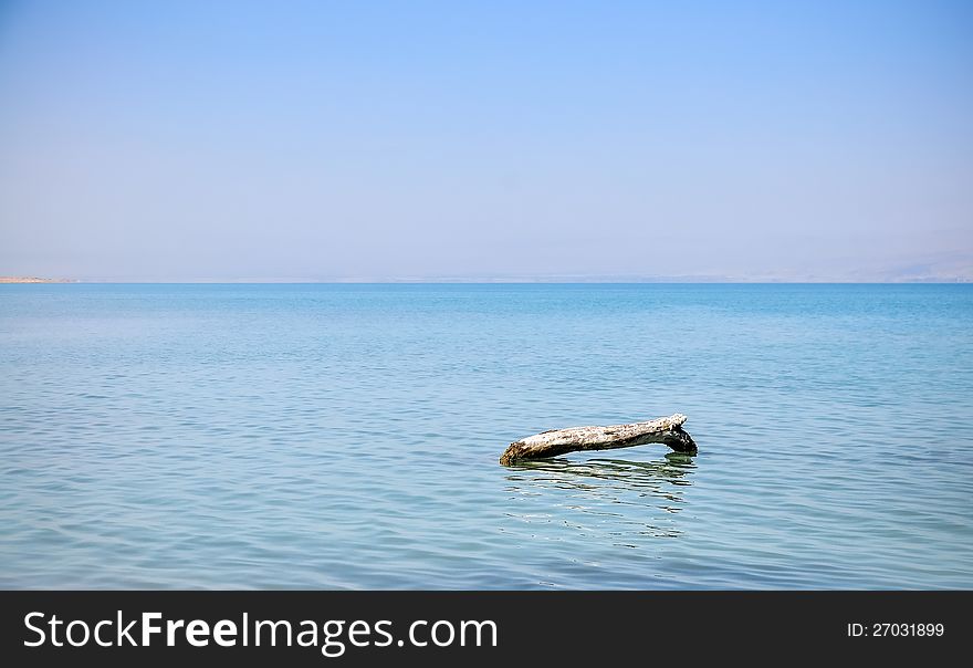 View on the lonely log in the Dead Sea