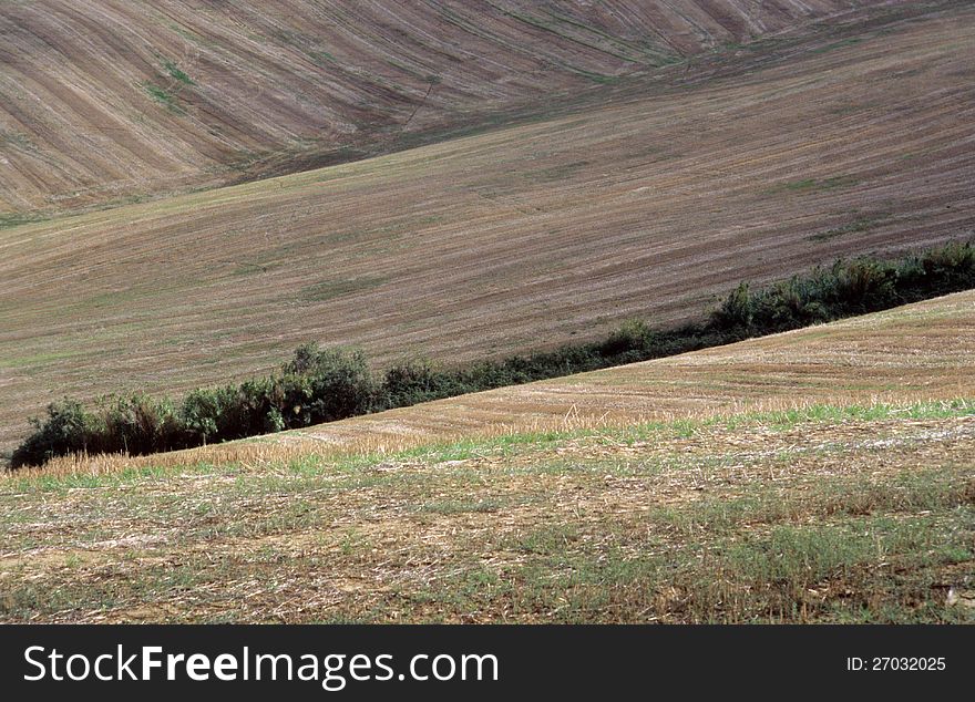 Agricultural land in val of Recanati. Marche region, Italy