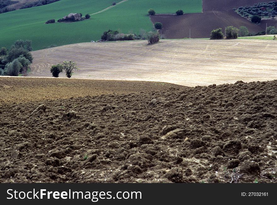 Agricultural land in val of Recanati. Marche region, Italy