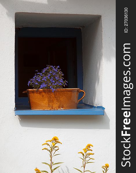 The window with planter and blue flowers