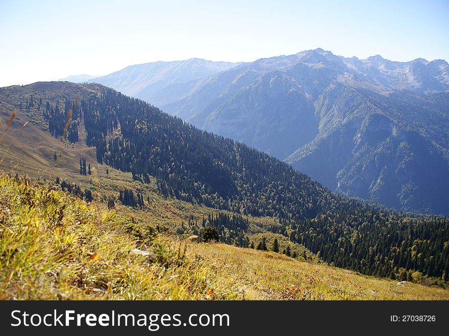 Mountain slope, overgrown with pine forest. Mountain slope, overgrown with pine forest