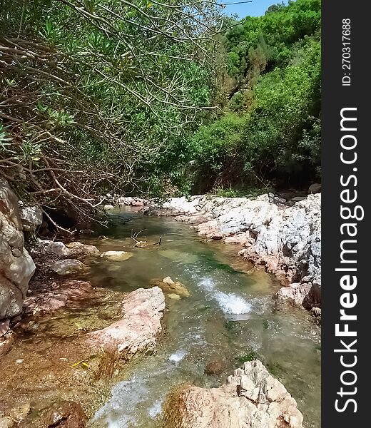 Serene summer stream valley a natural oasis amidst the summer heat