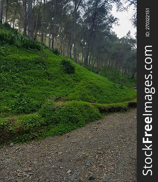 Discovering The Pristine Beauty Of A Soil Wall Along A Nature Path