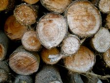 Wood Pile Stock Photo Wood Pile Stock Photo