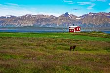 Iceland Red House In The Meadow Stock Images