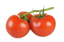 Tomatoes Royalty Free Stock Photography