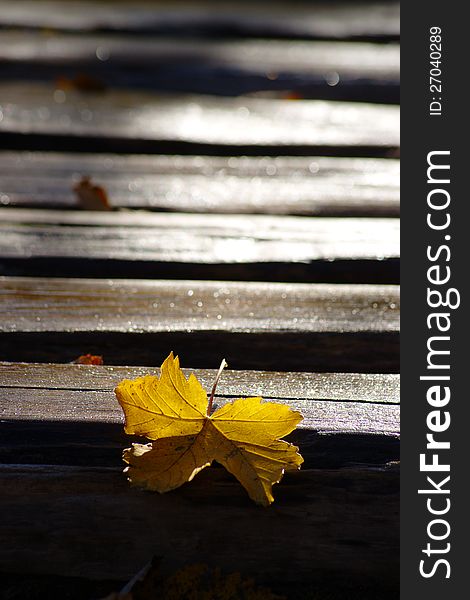 Yellow leaf on shiny wooden path covered with frost in early autumn morning on Plitvice Lakes National Park. Yellow leaf on shiny wooden path covered with frost in early autumn morning on Plitvice Lakes National Park