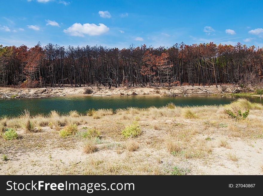 Lagoon Of Mouth Of Bevano