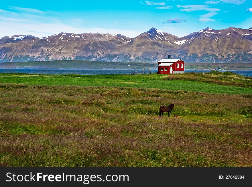 Iceland Red House In The Meadow