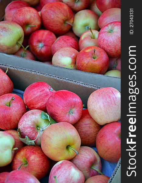 Boxes of fresh apples for sale at market