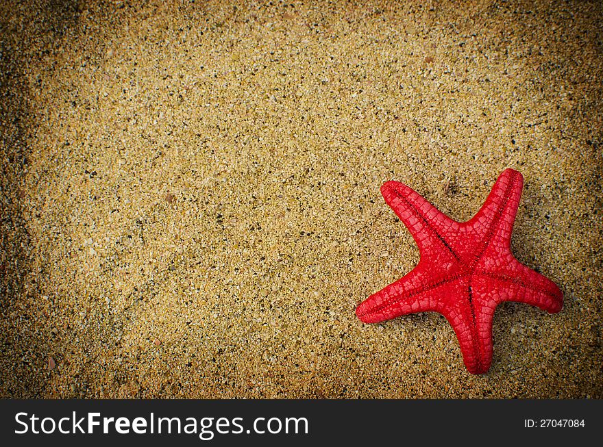 Starfish on a sandy beach with a copy space. Perfect for postcards. Starfish on a sandy beach with a copy space. Perfect for postcards.