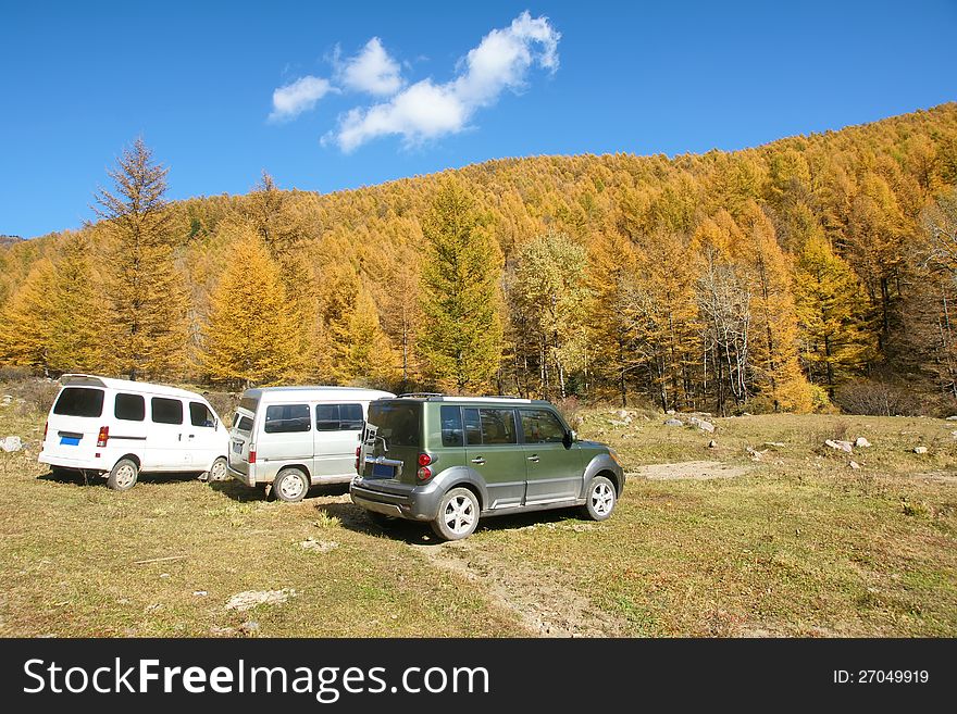 The autumnal mountain scenery with yellow trees and blue sky. The autumnal mountain scenery with yellow trees and blue sky.