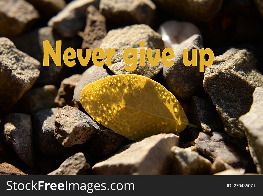 Never give up. Motivational phrases for every day, psychological support, success, positive thinking