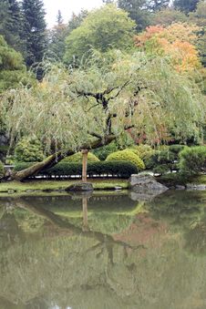 Autumn Charm In Japanese Garden Stock Photos Autumn Charm In Japanese Garden Stock Photos