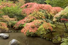 Autumn Charm In Japanese Garden Royalty Free Stock Photo Autumn Charm In Japanese Garden Royalty Free Stock Photo